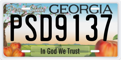 GA license plate PSD9137