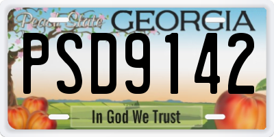 GA license plate PSD9142