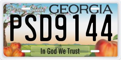 GA license plate PSD9144