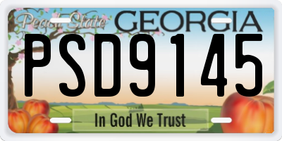 GA license plate PSD9145