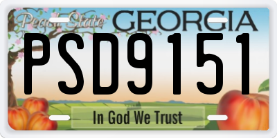 GA license plate PSD9151