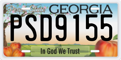 GA license plate PSD9155