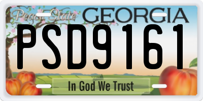GA license plate PSD9161