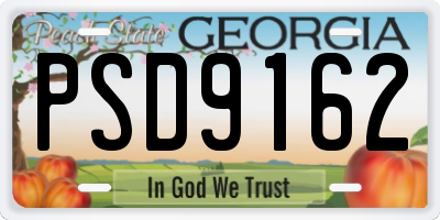 GA license plate PSD9162