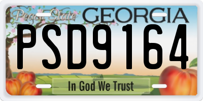 GA license plate PSD9164