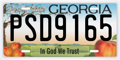 GA license plate PSD9165
