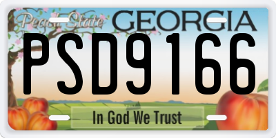 GA license plate PSD9166