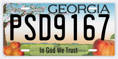 GA license plate PSD9167
