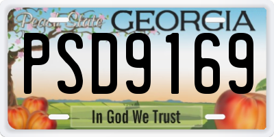 GA license plate PSD9169