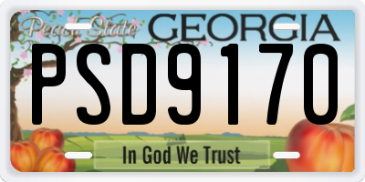 GA license plate PSD9170