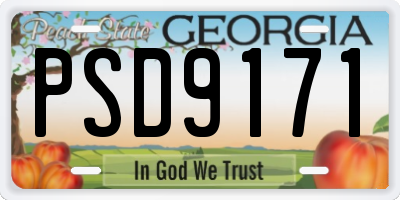GA license plate PSD9171