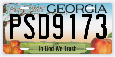 GA license plate PSD9173