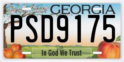 GA license plate PSD9175