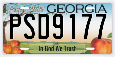GA license plate PSD9177