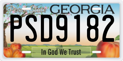 GA license plate PSD9182