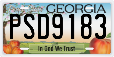 GA license plate PSD9183