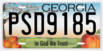 GA license plate PSD9185
