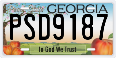 GA license plate PSD9187