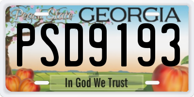 GA license plate PSD9193