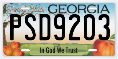 GA license plate PSD9203
