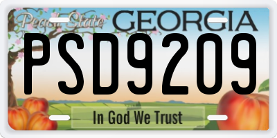 GA license plate PSD9209