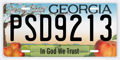 GA license plate PSD9213