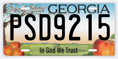 GA license plate PSD9215