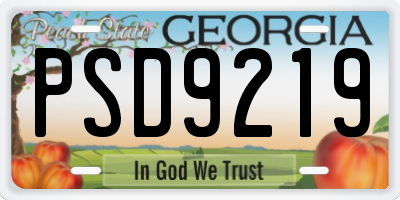 GA license plate PSD9219