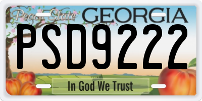 GA license plate PSD9222