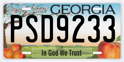 GA license plate PSD9233