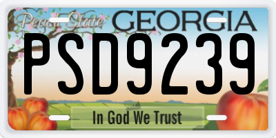 GA license plate PSD9239