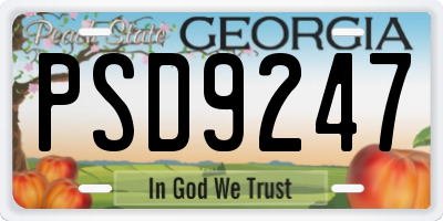 GA license plate PSD9247