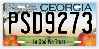 GA license plate PSD9273