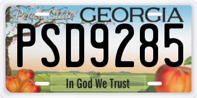 GA license plate PSD9285