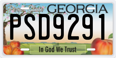 GA license plate PSD9291