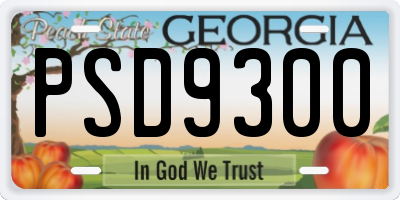 GA license plate PSD9300