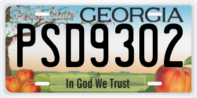 GA license plate PSD9302
