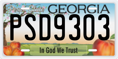 GA license plate PSD9303