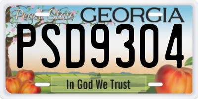 GA license plate PSD9304