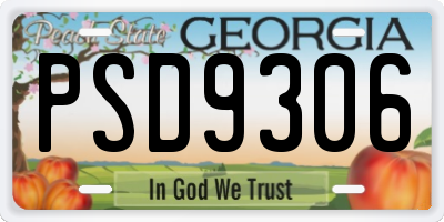 GA license plate PSD9306
