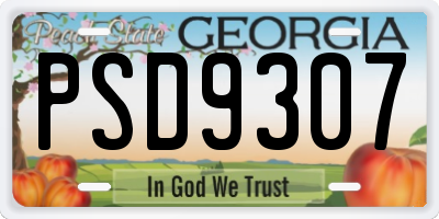 GA license plate PSD9307