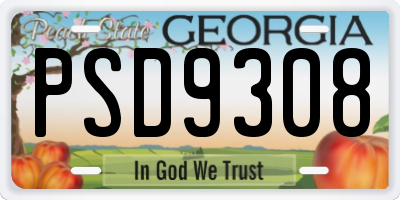 GA license plate PSD9308