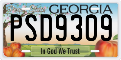GA license plate PSD9309