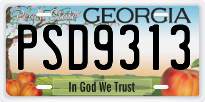 GA license plate PSD9313