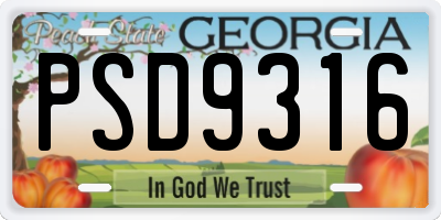 GA license plate PSD9316