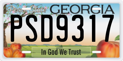 GA license plate PSD9317