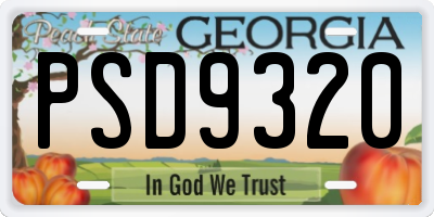 GA license plate PSD9320
