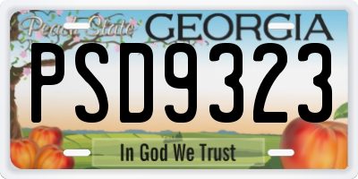 GA license plate PSD9323