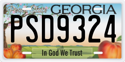 GA license plate PSD9324