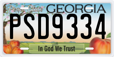 GA license plate PSD9334